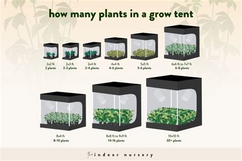 how many plants in a 3x3 grow tent